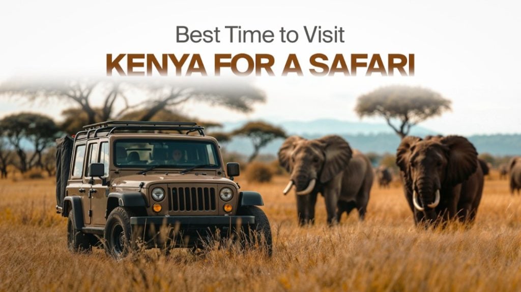Kenya safari seasons