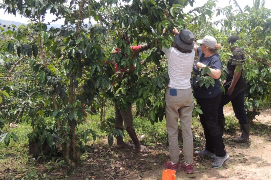 Can I attend a coffee tour in Uganda or Rwanda?