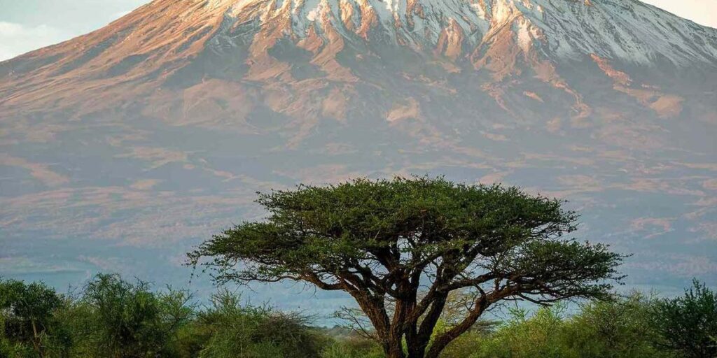 Can I combine a Kilimanjaro climb with a safari?
