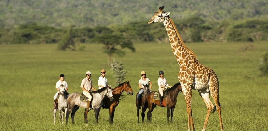 Can I do a horse-riding safari in Kenya or Tanzania?
