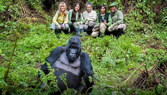 Can children trek gorillas in Uganda or Rwanda?