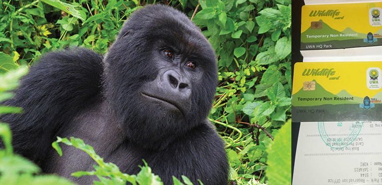 How are gorilla permits used for conservation?