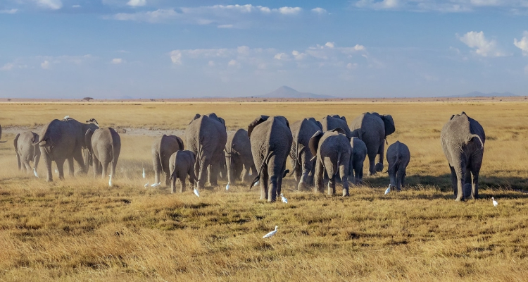How long should I stay in the Maasai Mara?
