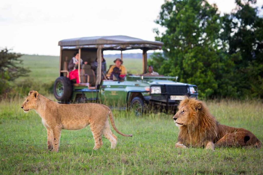 How much does a safari in East Africa cost?