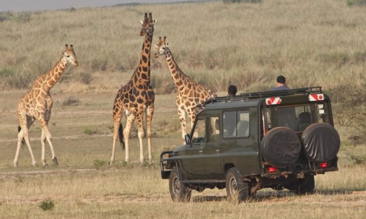 Is Akagera National Park good for game drives?