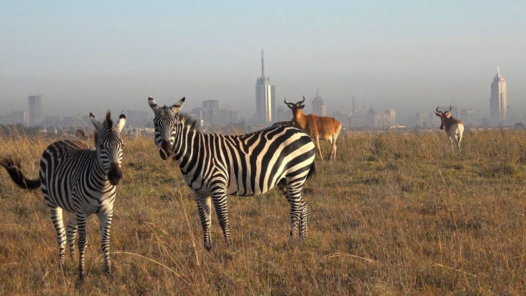 Is Nairobi National Park worth visiting?