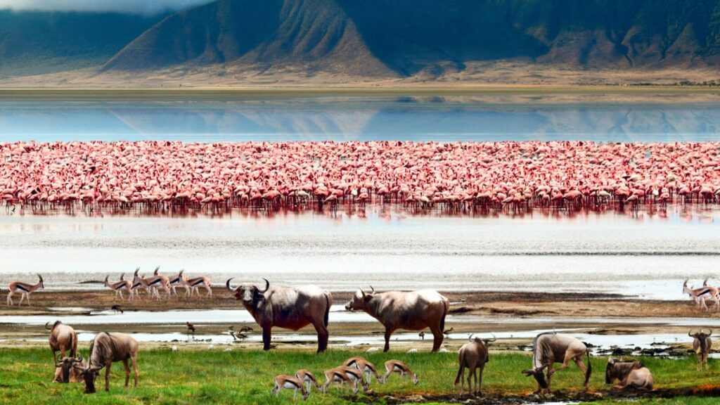 Is Ngorongoro Crater worth visiting?