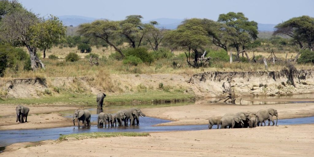 tourism and conservation Tanzania