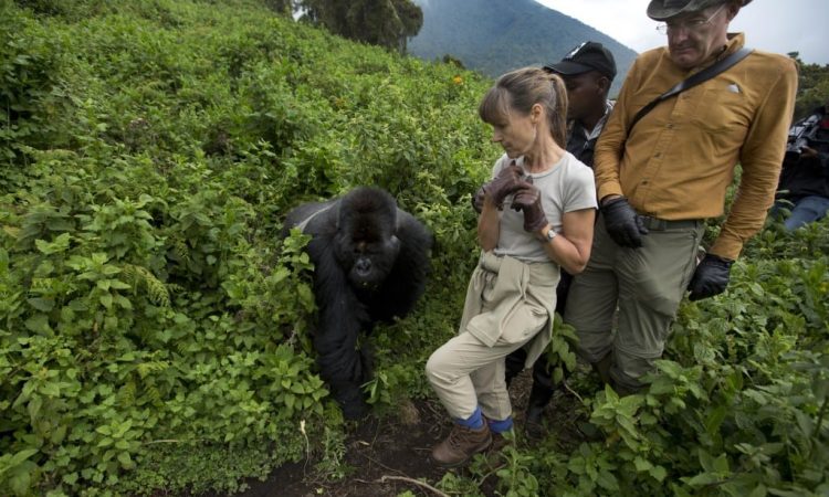 Rwanda’s Adventure Travel Highlights