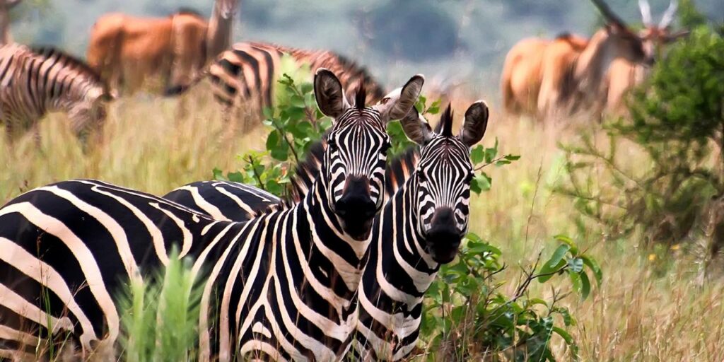 Rwanda’s Best Kept Travel Secrets