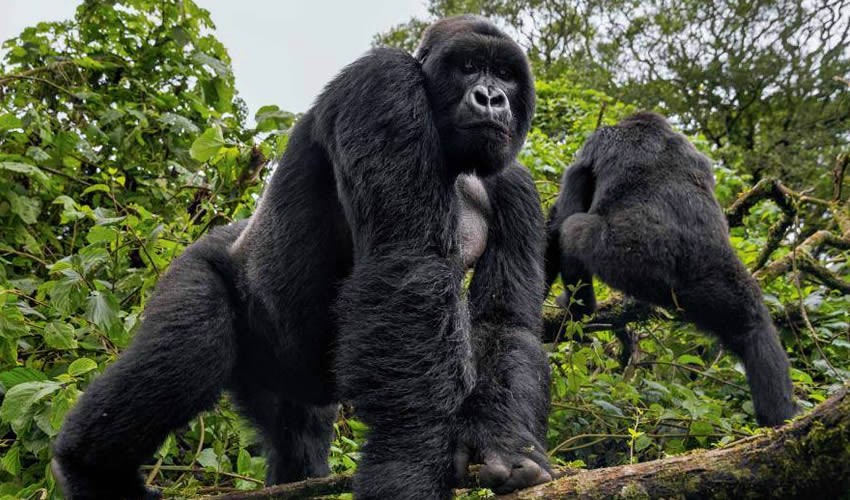 Rwanda’s Best Travel Destinations