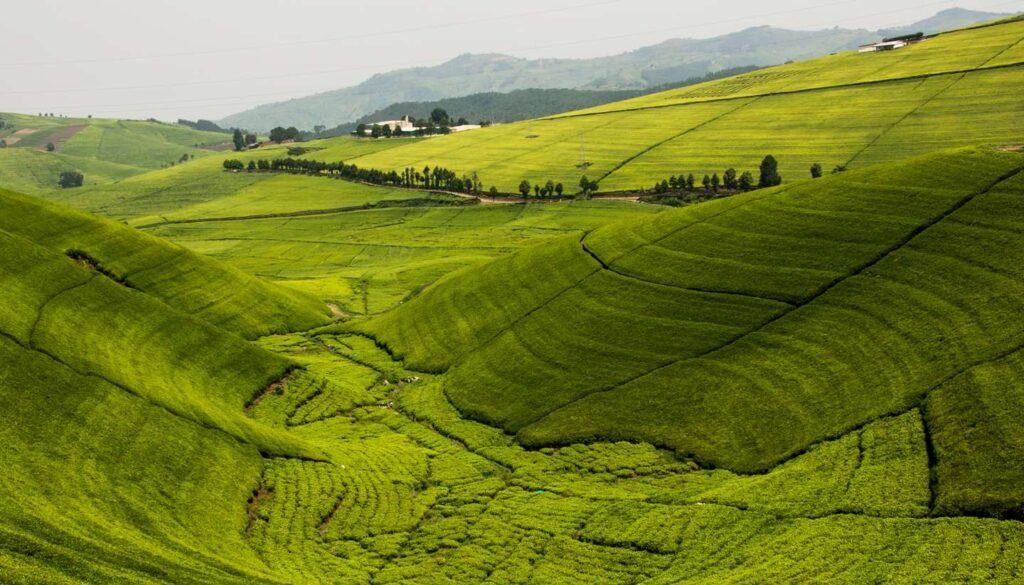 Rwanda’s Green Travel Movement