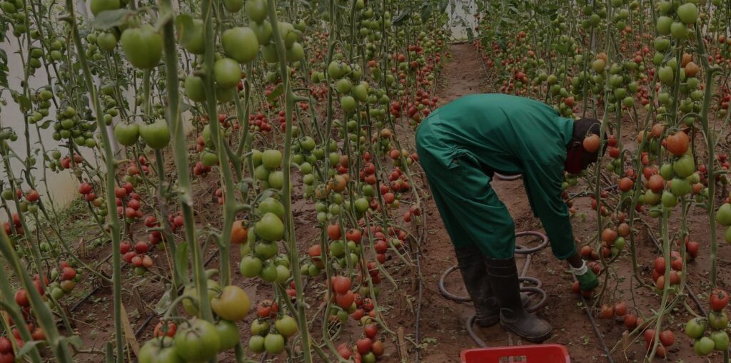 Rwanda’s Growing Food Scene