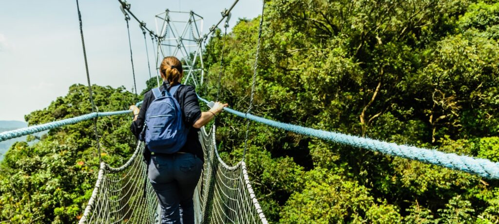 Rwanda’s Safari Adventure Tips