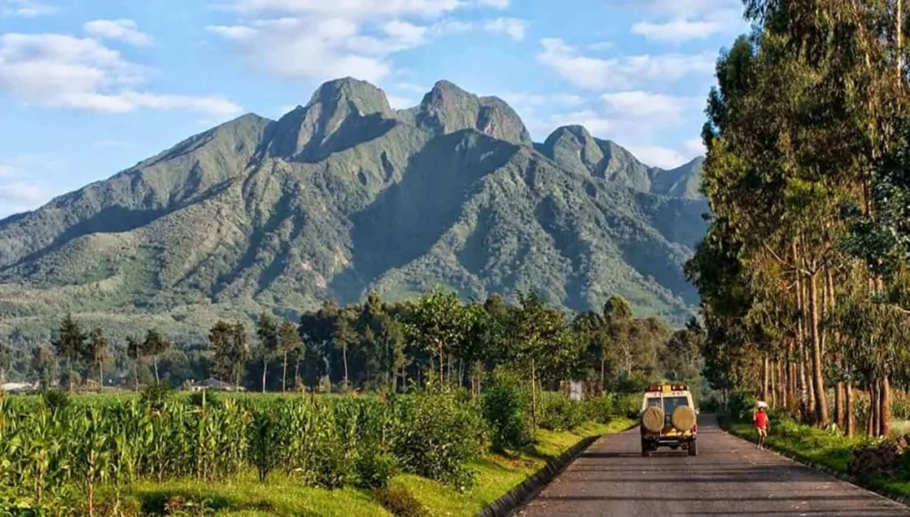 Rwanda’s Safari-Friendly Landscapes