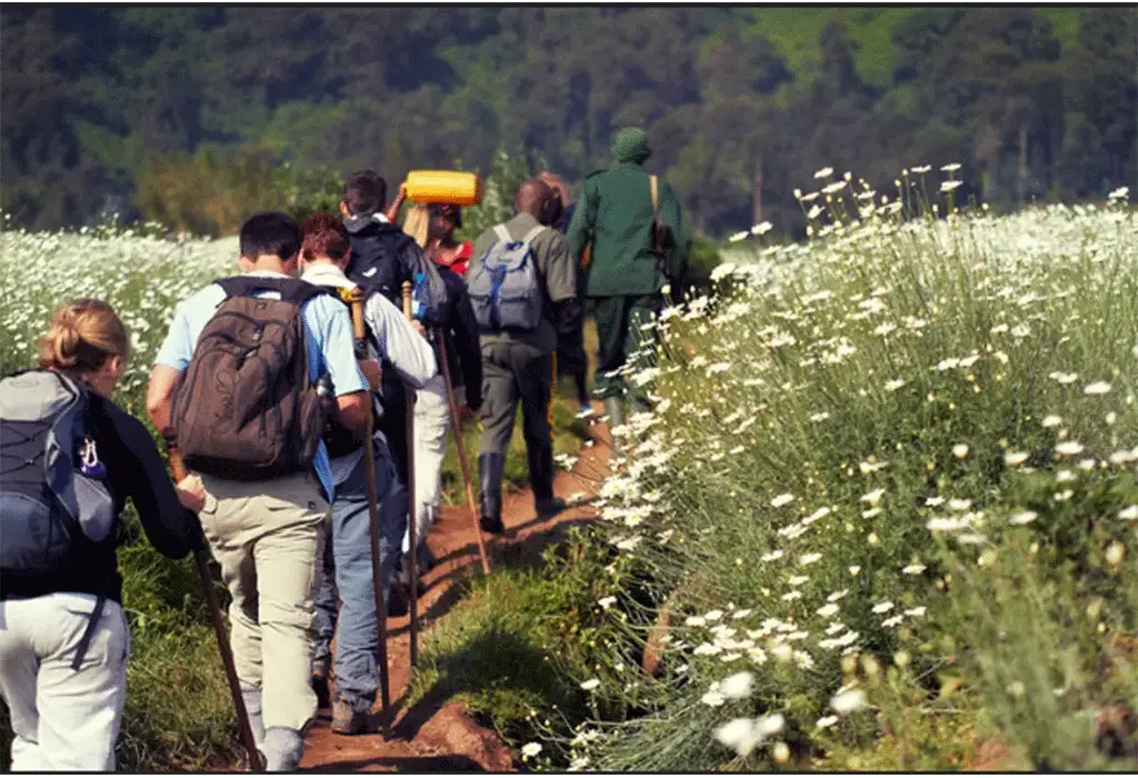 Rwanda’s Top Hiking Experiences