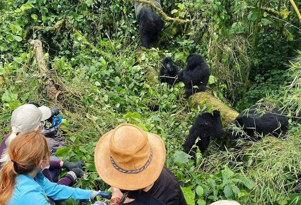 Rwanda’s Top Travel Memories