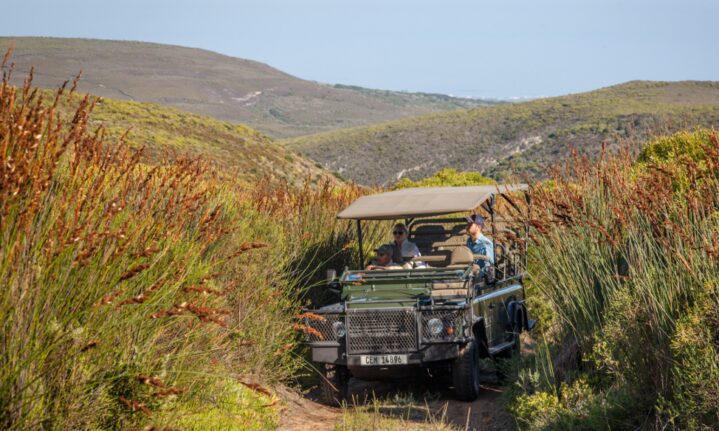 sustainable travel South Africa