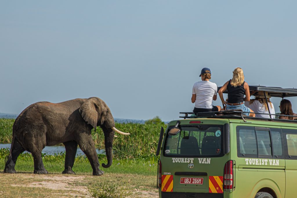 Uganda’s Affordable Adventure Tours