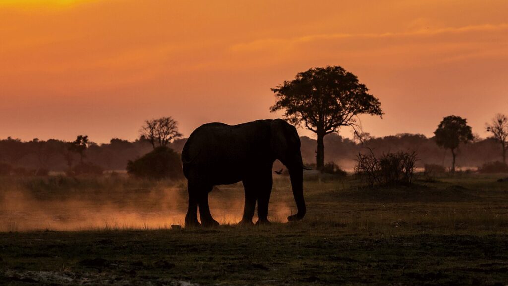 Uganda’s Best Safari Sunsets