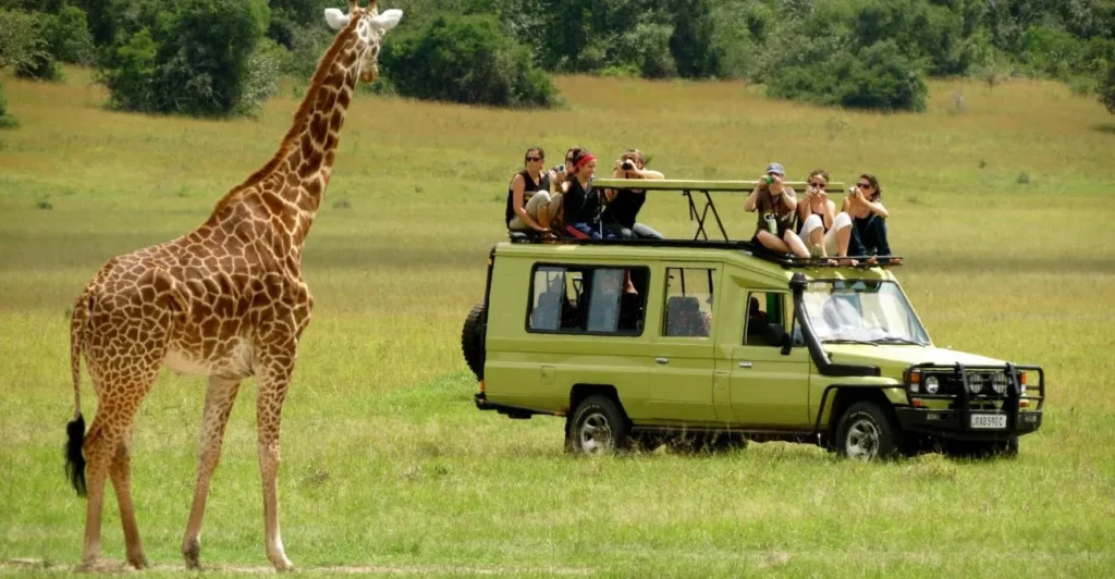 Uganda’s Eco-Adventure Safaris