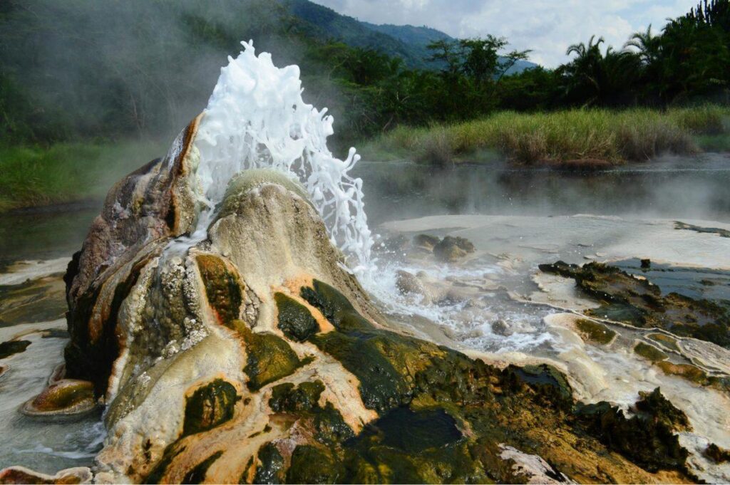 Uganda’s Hidden Safari Treasures