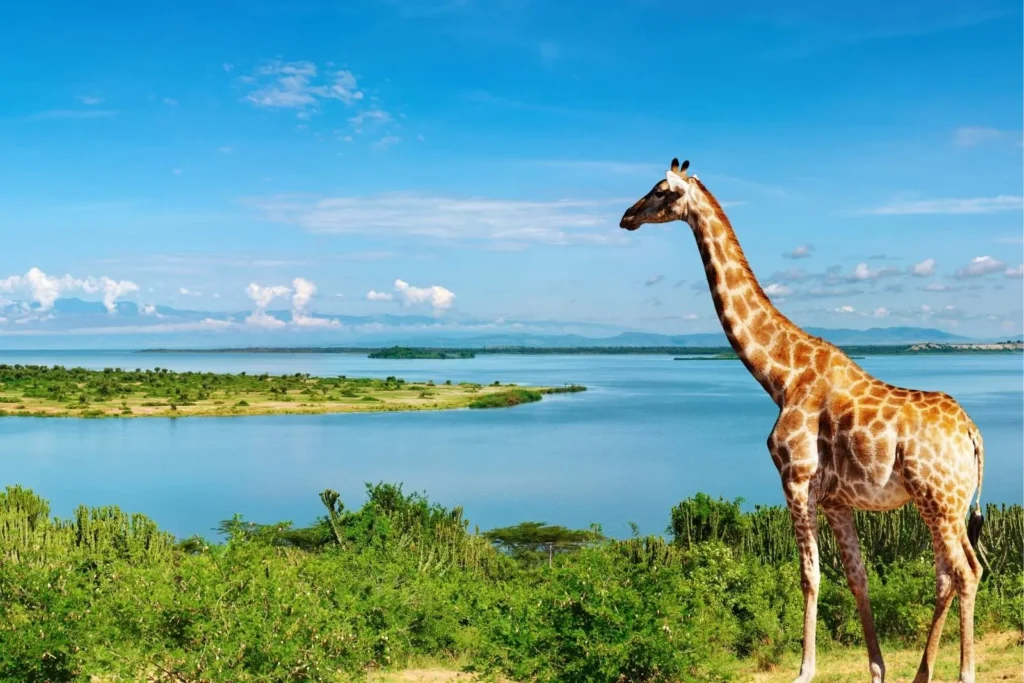Uganda’s Most Iconic Travel Photos