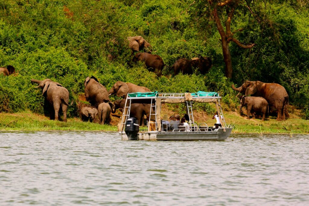 Uganda’s Safari Memories Captured