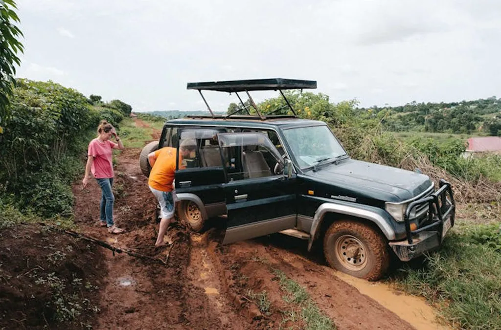 Uganda’s Safari Travel Seasons