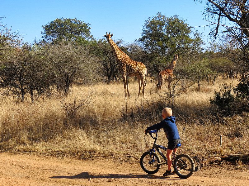 Uganda’s Safari Travel with Kids