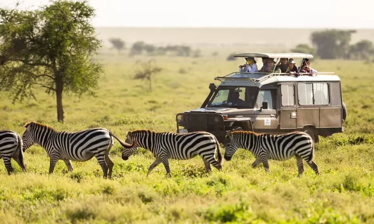 Uganda’s Safari Wildlife Experiences