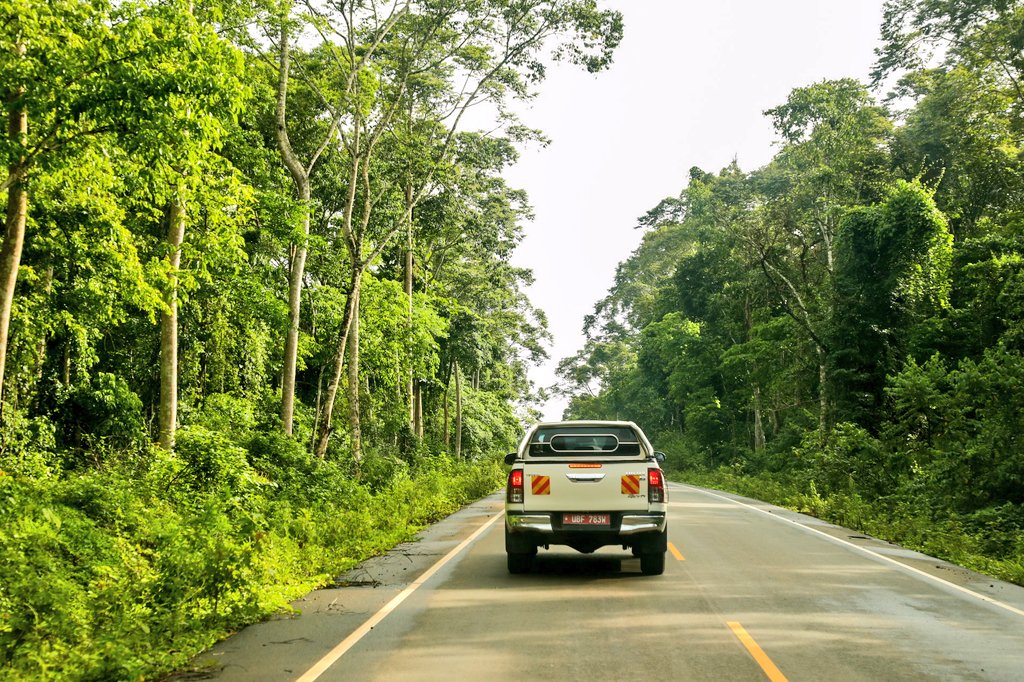 Uganda’s Scenic Safari Routes