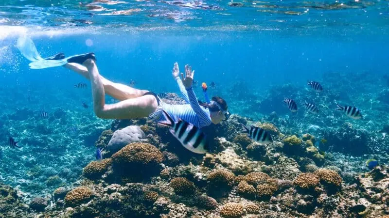 What are the best dive spots in East Africa?