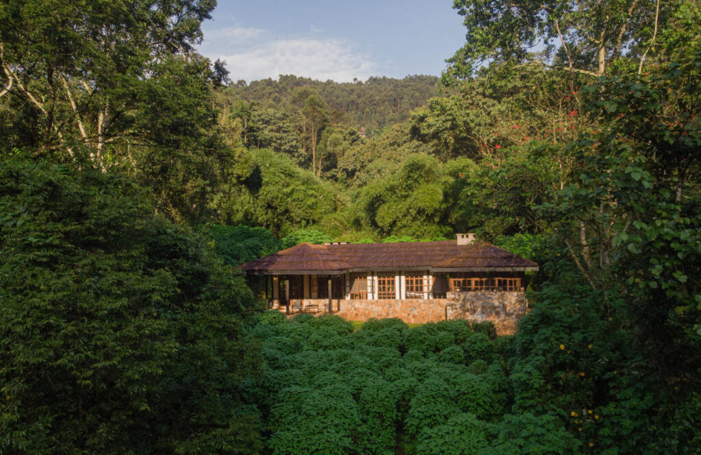 What are the best lodges near Bwindi for luxury travelers?