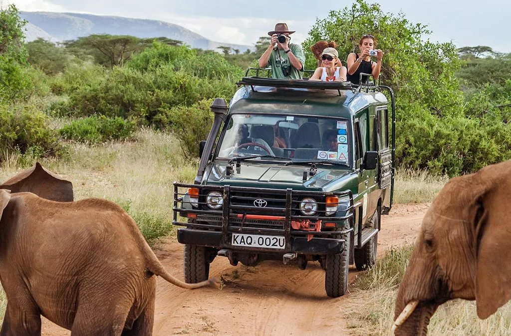 What are the best photography safaris in Kenya?