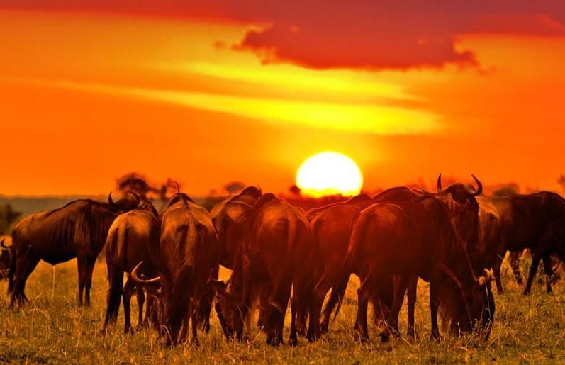 What are the best sunrise and sunset spots in East Africa?