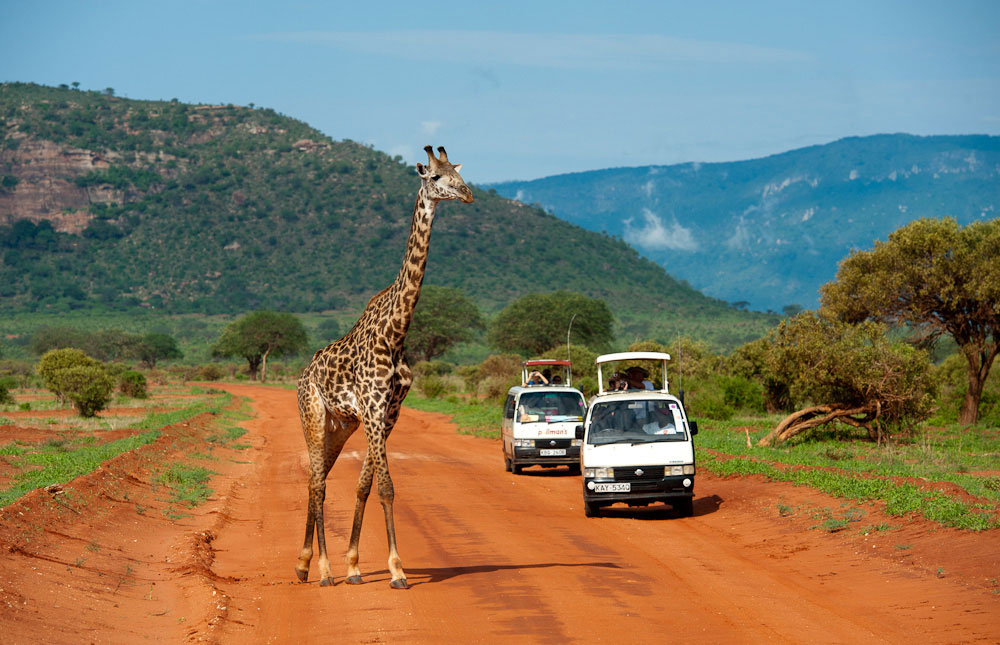 What are the top family-friendly safaris in Kenya?