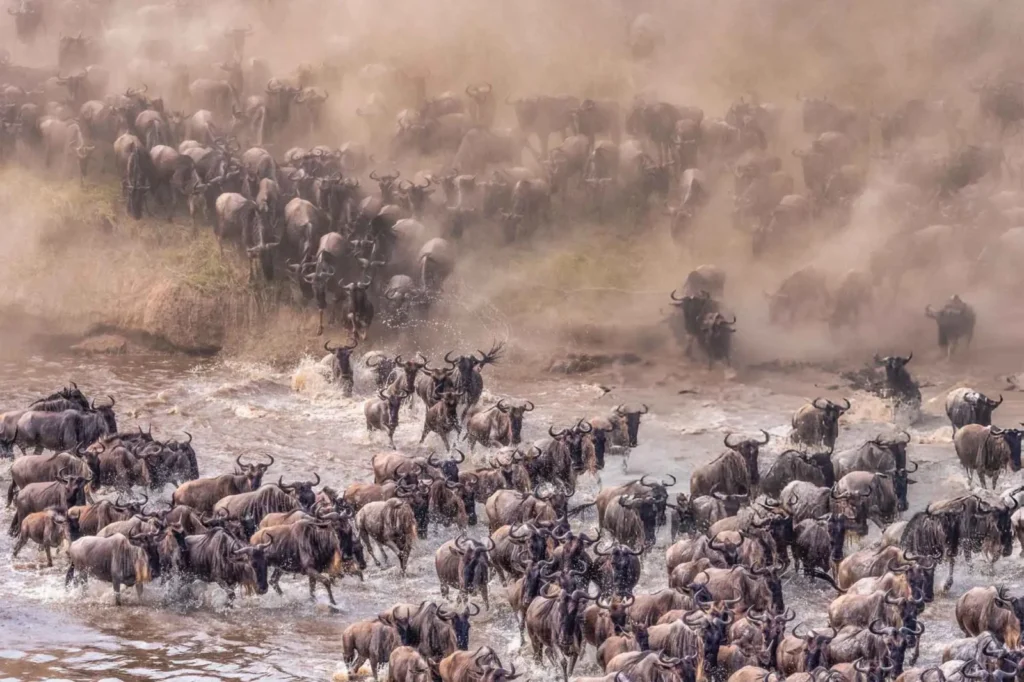 What is the Great Migration route in Tanzania?