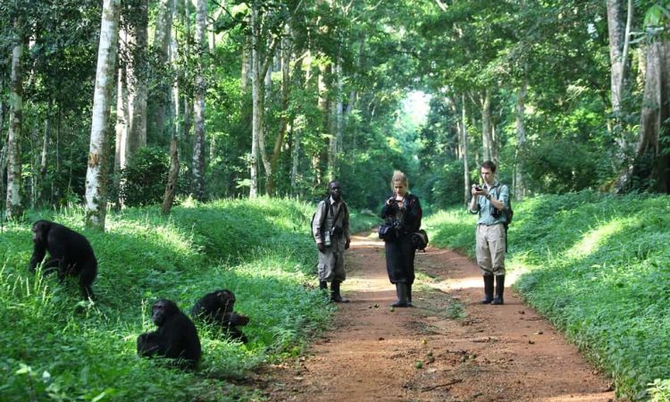 What’s the best Rwanda itinerary for 5 days?