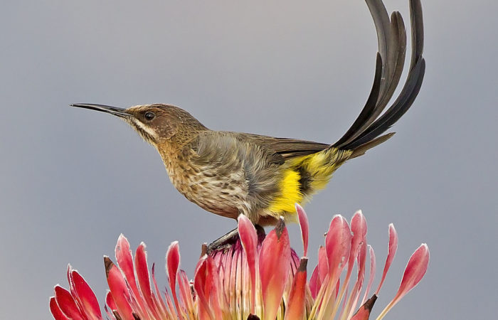 What’s the best birdwatching destination in East Africa?