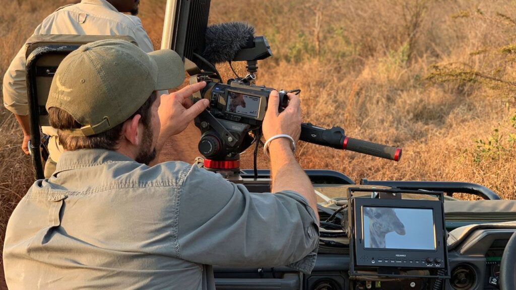 What’s the best camera lens for wildlife photography?