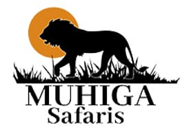 What’s the best tour company for East Africa safaris?