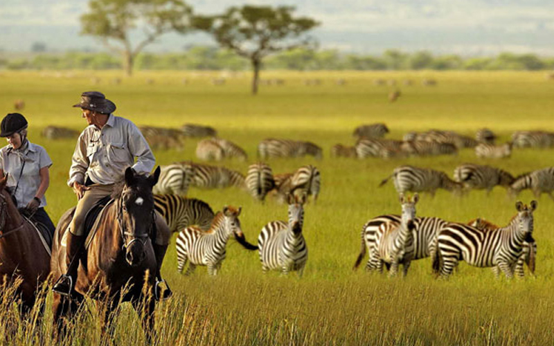 Tanzania eco-tourism