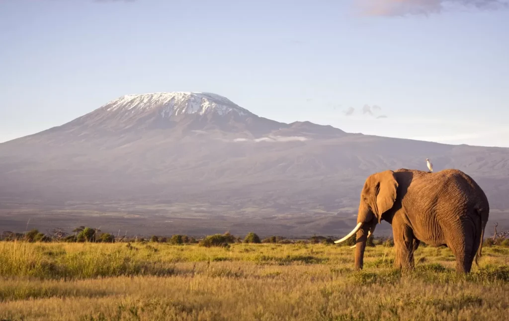 Why is Tanzania a top safari destination?