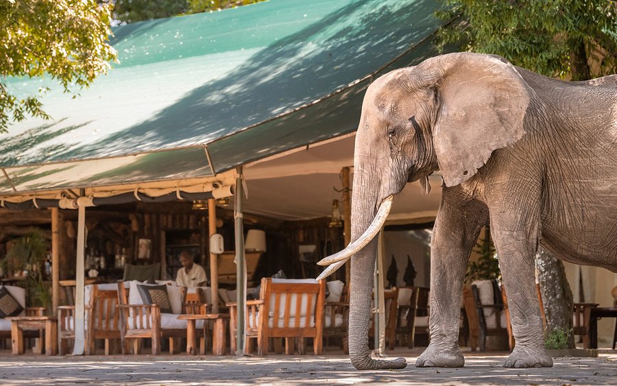10-Day Kenya Luxury Safari