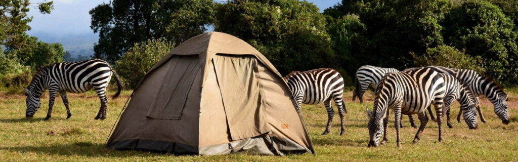 affordable Tanzania safaris