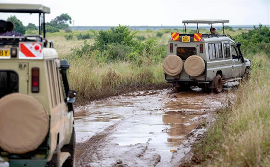 Can I do a safari during the rainy season?