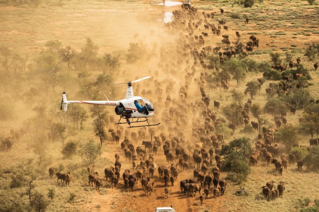 Can I take a helicopter tour over the Serengeti?