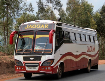 Can I travel between East African countries by bus?