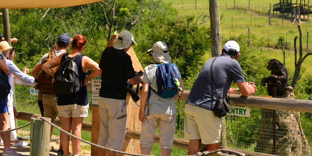 Can I visit Jane Goodall’s chimp sanctuary in Tanzania?